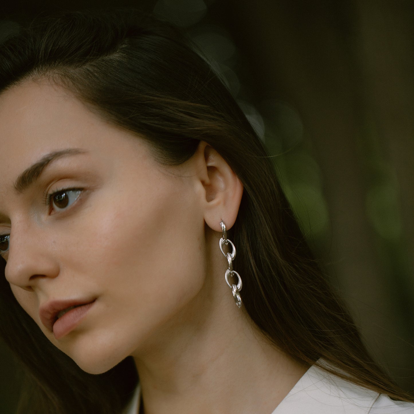 Cichlid - Gold Vermeil Earrings / Pair