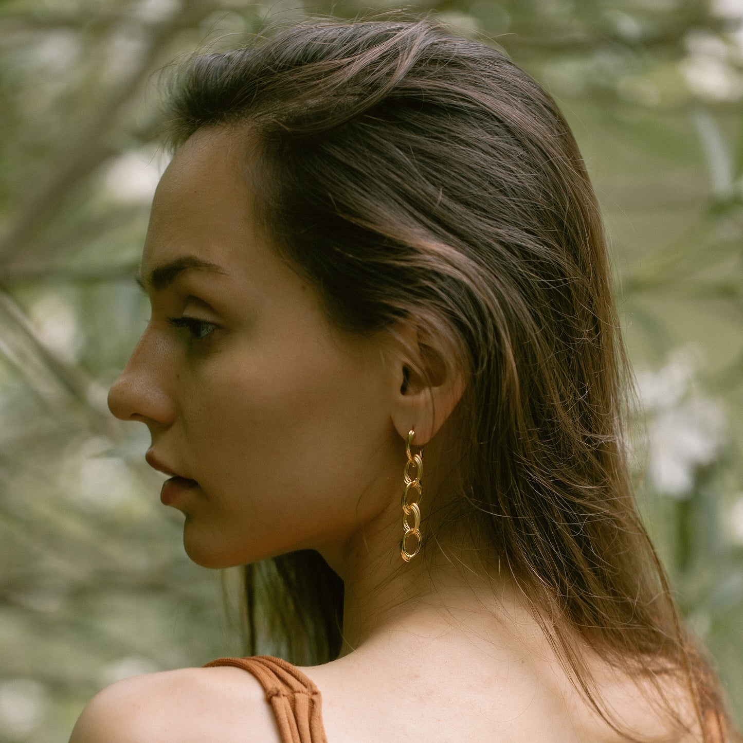 Cichlid - Gold Vermeil Earrings / Pair